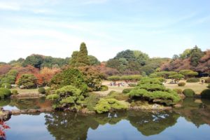日本庭園のフリー写真